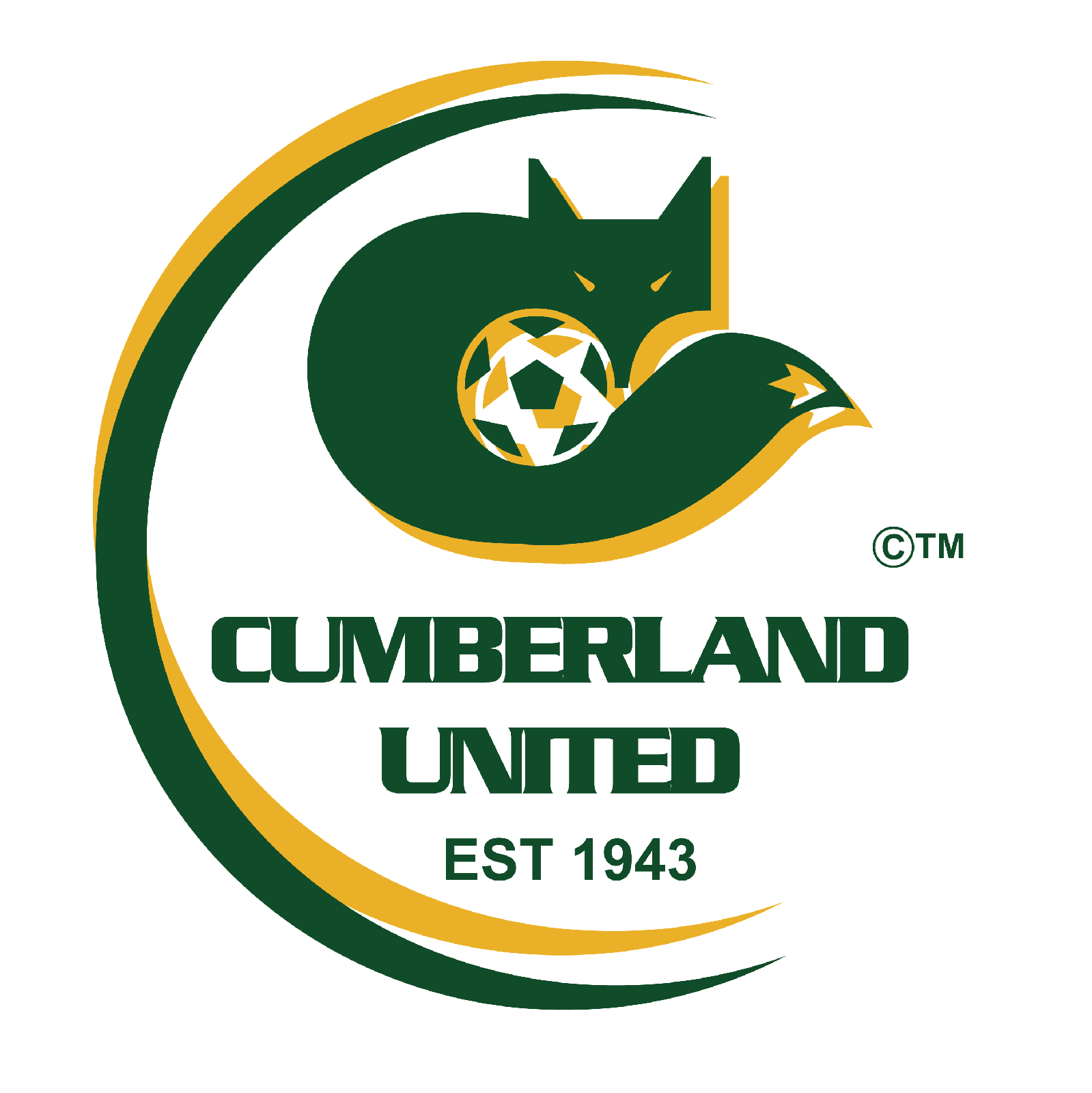 Cumberland United FC